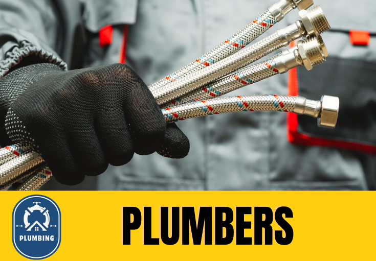  plumber Maxton